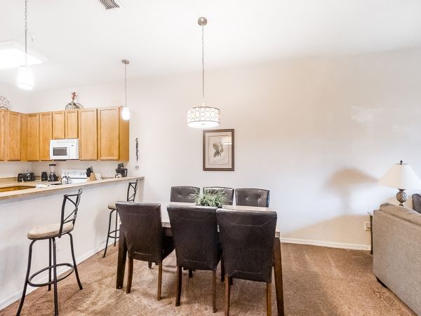 Orlando Condo 1026671