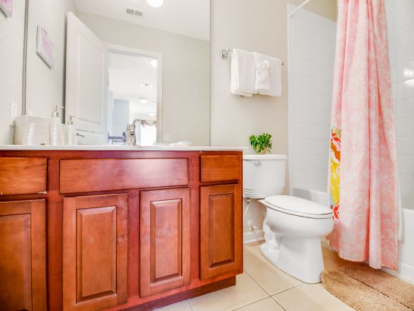 Orlando Home 1026672