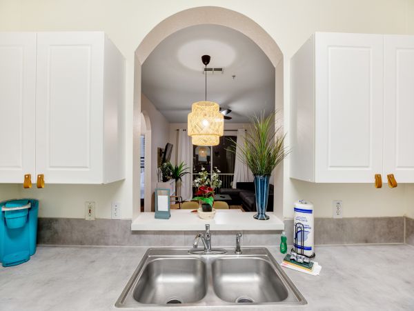 Orlando Home 1026700