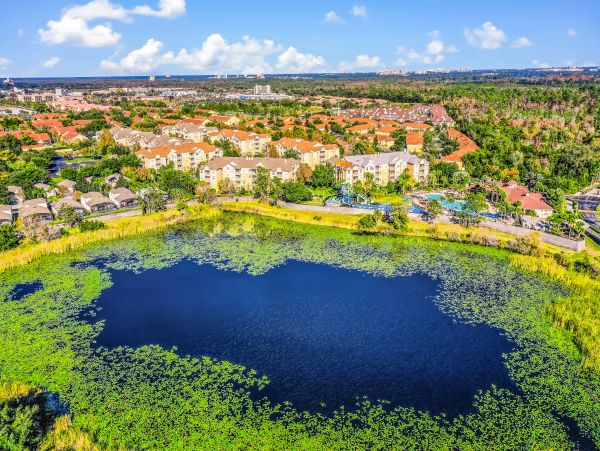 Orlando Condo 1026705