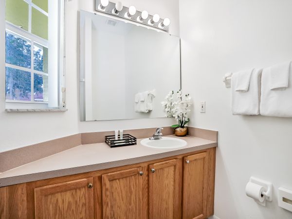 Orlando Home 1026713