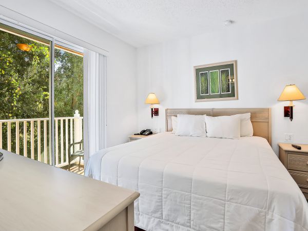 Orlando Home 1026716