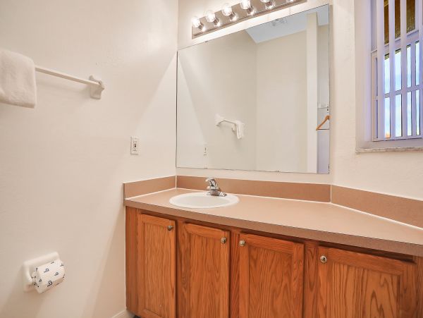 Orlando Home 1026716