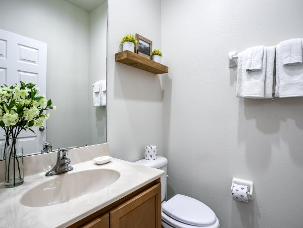 Orlando Home 1026720