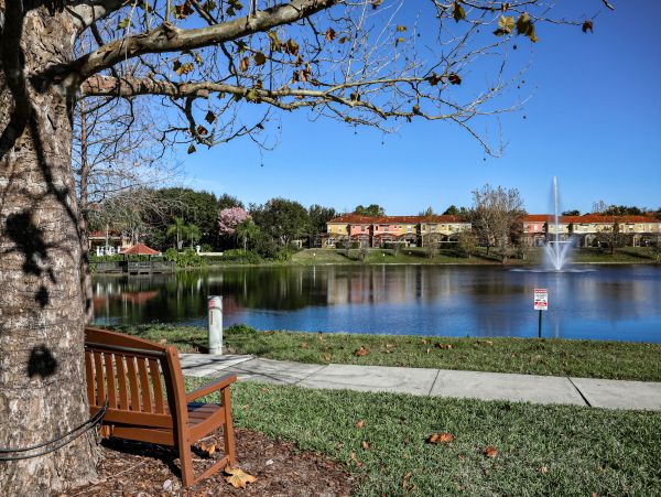 Orlando Home 1026720