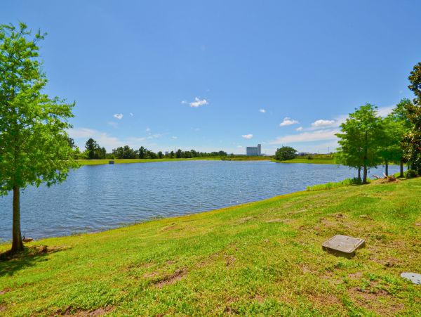 Orlando Condo 1026729