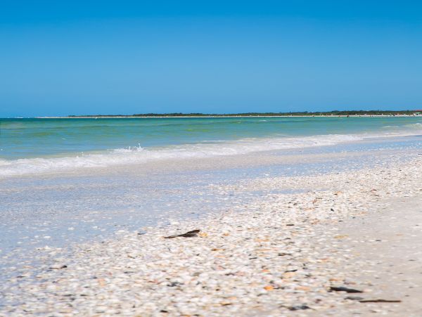 Marco Island Condo 1026843