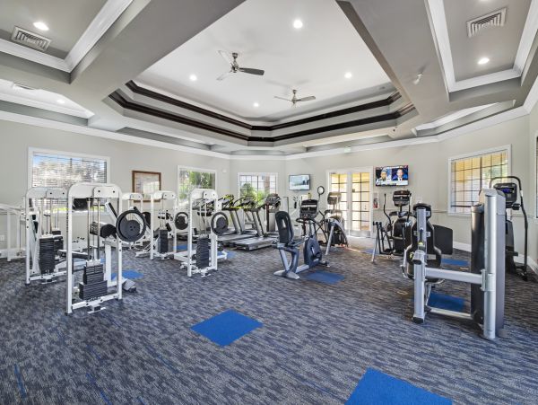 Orlando Home 1026859