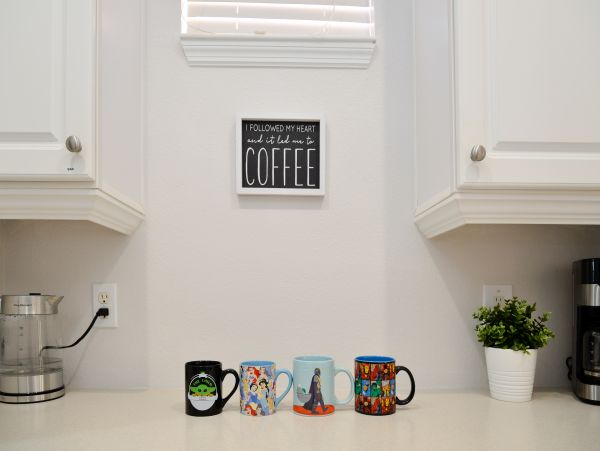 Orlando Home 1026861