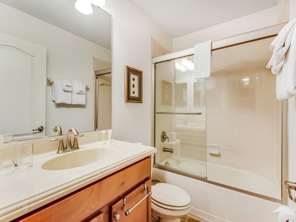 Orlando Home 1026865