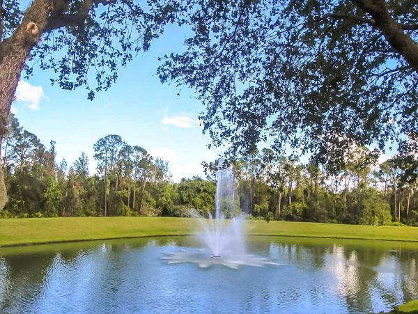 Orlando Home 1026880