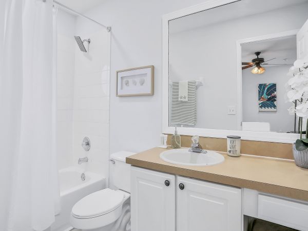 Orlando Home 1026882