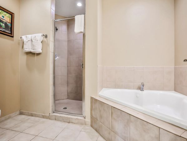 Orlando Condo 1026890