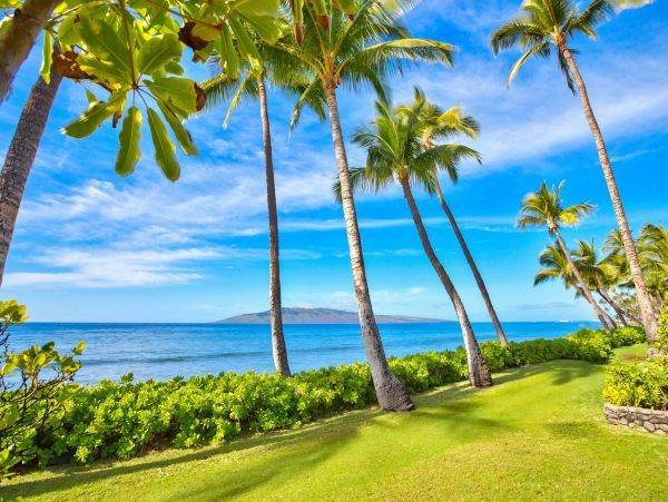 Lahaina Oceanfront Four Bedroom Vacation Home Rental