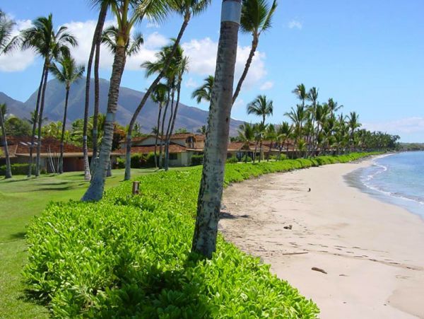 Lahaina Oceanfront Four Bedroom Vacation Home Rental