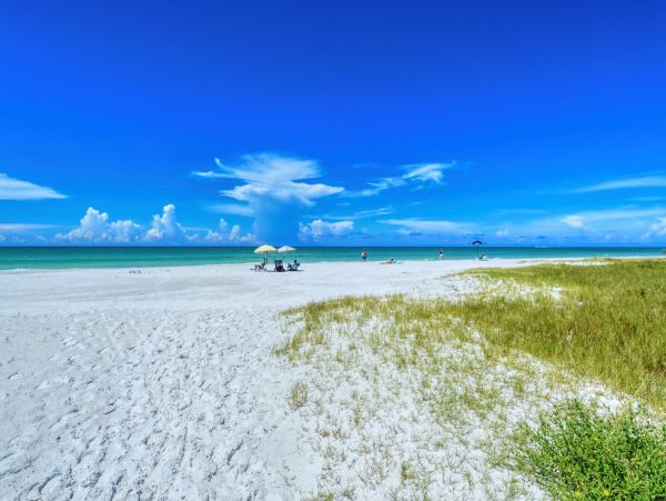Colorful Siesta Key Vacation Rental Home with Private Pool
