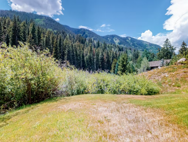 Mountain View home with one min walk to East Vail Shuttle