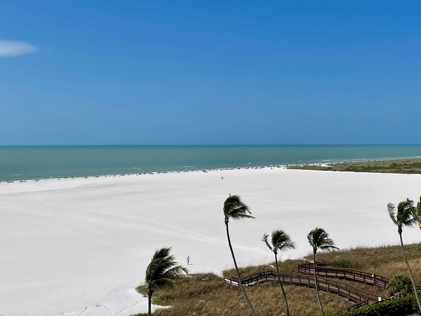 Marco Island Condo 1026948