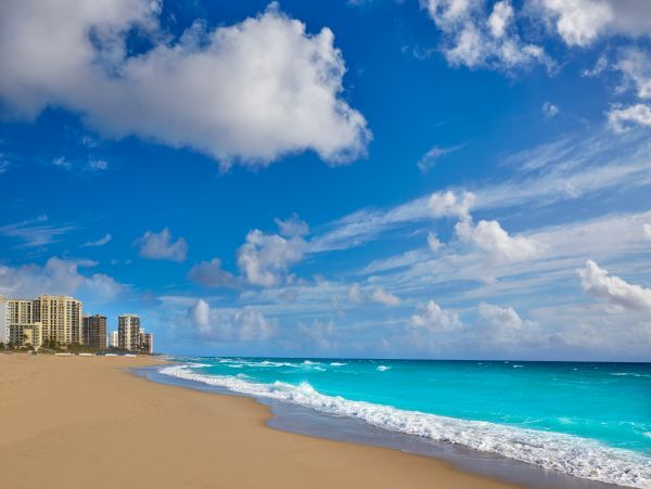 Palm Beach Home 1026969