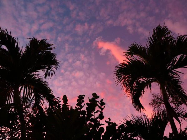 Palm Beach Condo 1026971