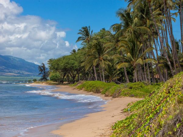 Beautiful Kihei Vacation Home Walk to Beach Sleeps 8