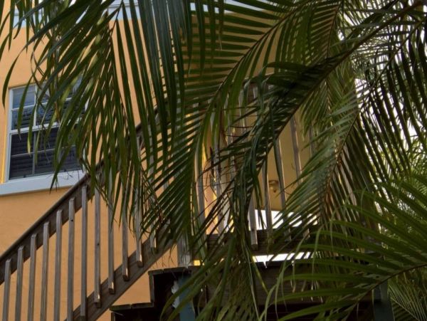 Palm Beach Condo 1027078