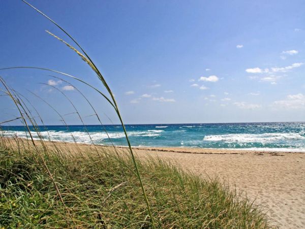 Palm Beach Condo 1027078
