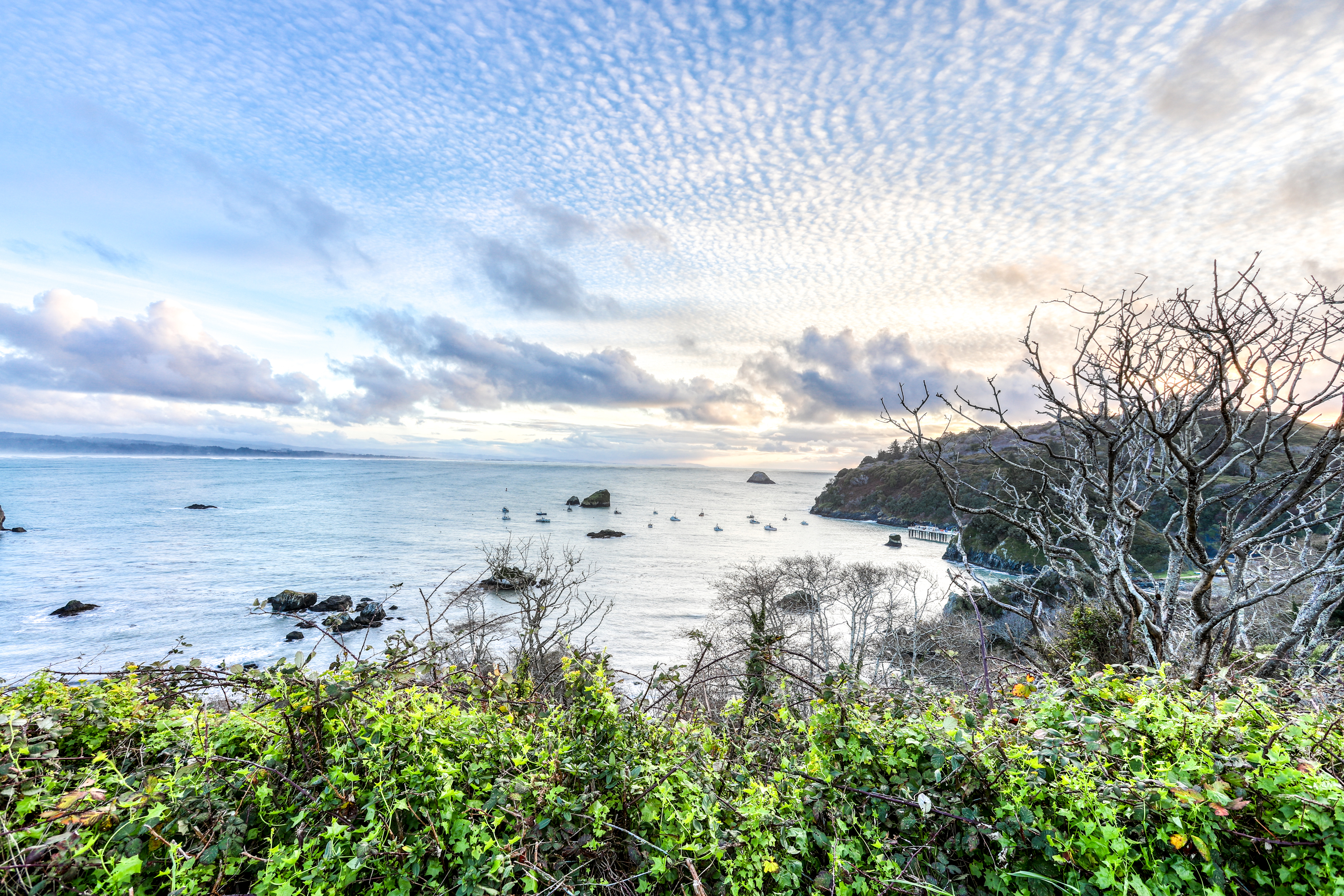 Mendocino Home 1027090