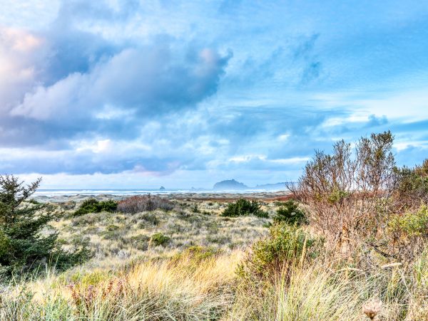 Mendocino Home 1027090