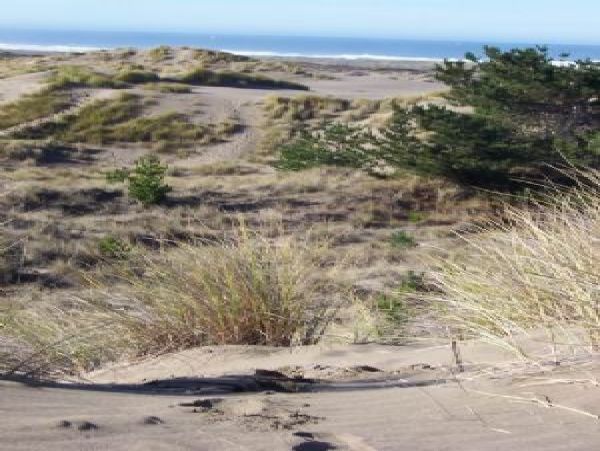 Mendocino Home 1027117