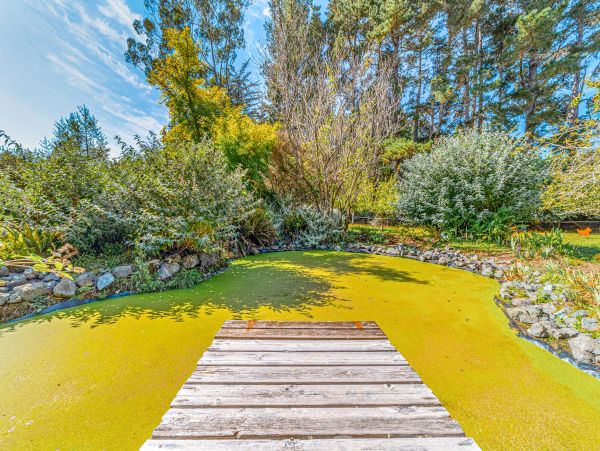 Mendocino Home 1027125
