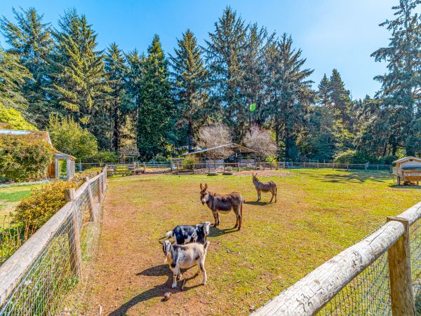 Mendocino Home 1027125