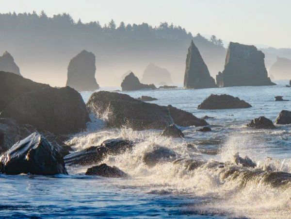 Mendocino Home 1027132
