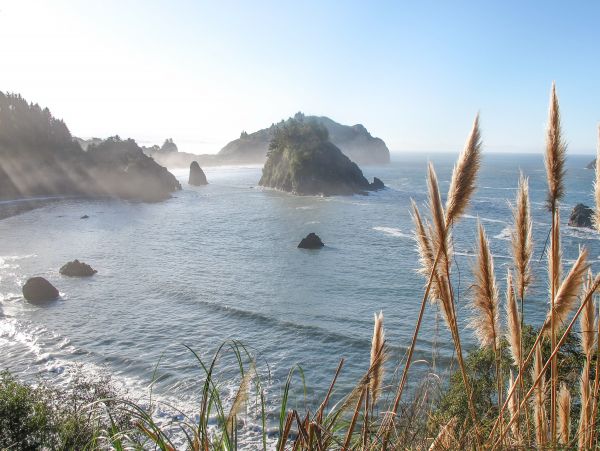 Mendocino Home 1027132