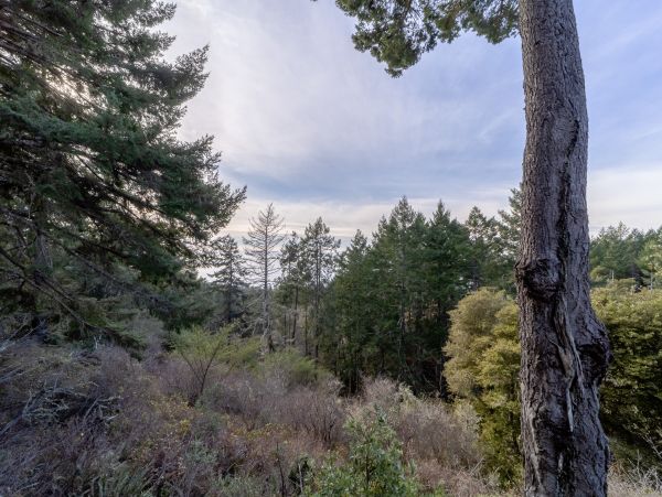 Mendocino Home 1027136