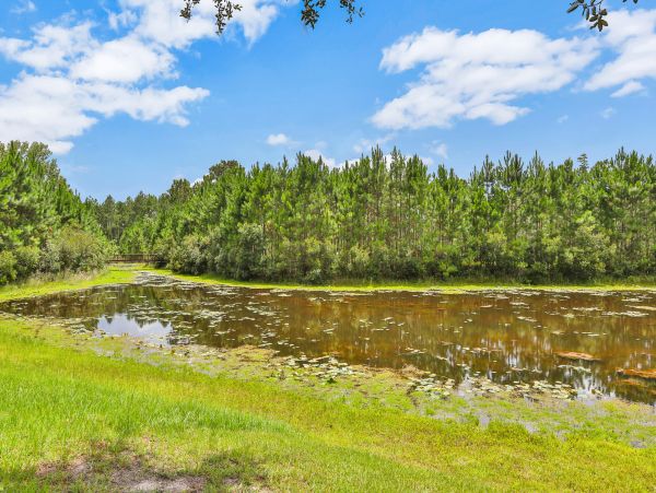 Palm Coast Home 1027183