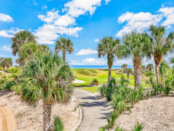 Palm Coast Home 1027198