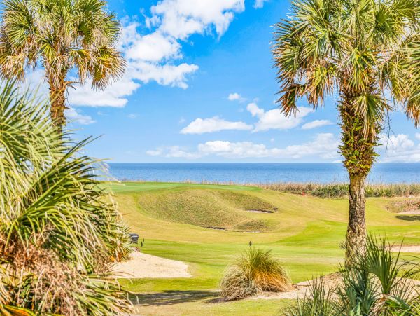 Palm Coast Home 1027198