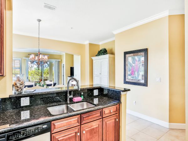 Palm Coast Home 1027199