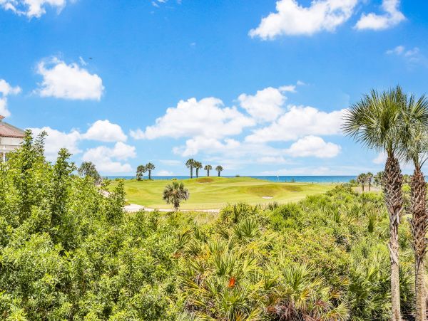 Palm Coast Home 1027199