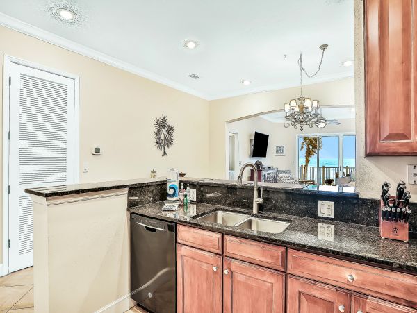 Palm Coast Home 1027204