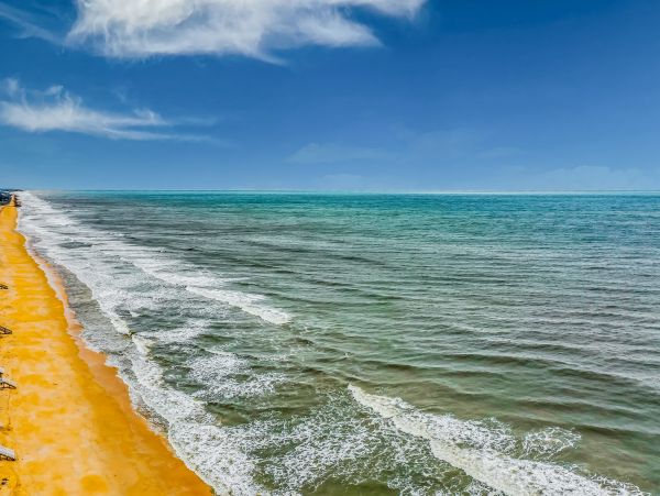 Palm Coast Home 1027205