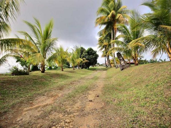Martinique Home 1027206