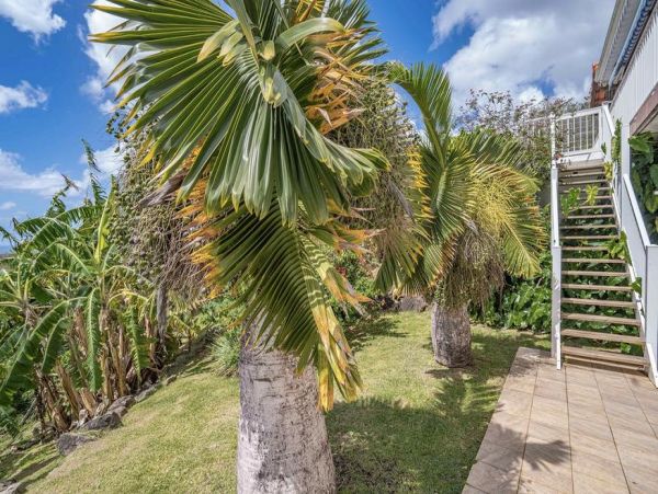 Martinique Home 1027207