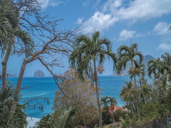 Martinique Home 1027209