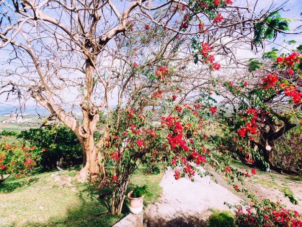 Martinique Home 1027211