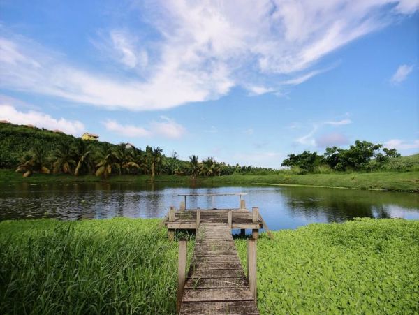 Martinique Home 1027212