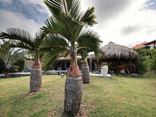 Martinique Home 1027212