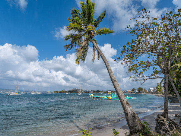 Martinique Home 1027213
