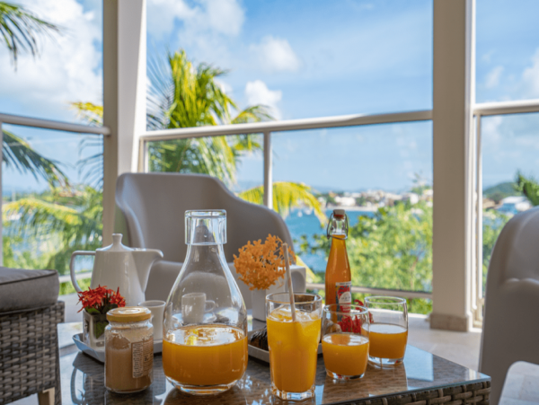 Martinique Home 1027213
